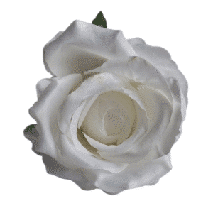 Róża wyrobowa biała